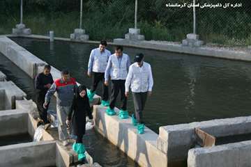 بازدید دکتر خلج از مزارع تکثیر و پرورش ماهیان در استان کرمانشاه