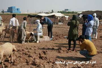 برگزاری تور تخصصی جشنواره بیطار دراستان کرمانشاه 