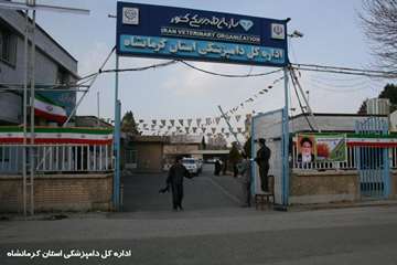اعزام اکیپ تشخیصی - درمانی - سمپاشی در مناطق محروم استان کرمانشاه