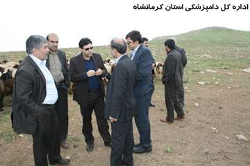 بازدید مدیر کل دیوان محاسبات استان از عشایر گونبان شهرستان هرسین