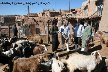 اعزام گروه جهادی بسیج اداره کل دامپزشکی به مناطق روستایی در دهه مبارک فجر