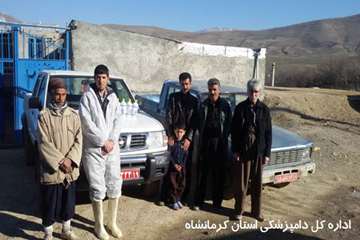 بررسی و واکسیناسیون  دام در شهرستان ثلاث باباجانی