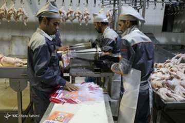 کشتارگاه صنعتی مرغ