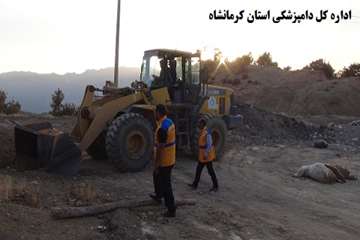 نظارت بر دفن بهداشتی لاشه های تلف شده در مناطق زلزله زده توسط اداره کل دامپزشکی استان کرمانشاه 