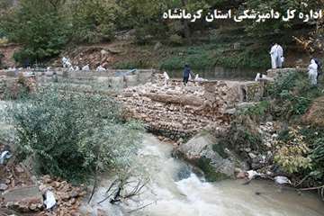 نظارت بر جمع آوری ،کیسه گیری ،حمل ودفن بهداشتی تلفات مجتمع پرورش ماهیان سردابی منطقه ریجاب