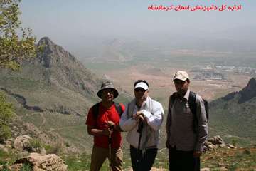 کوهپیمایی کارکنان دامپزشکی کرمانشاه بمناسبت روز جهانی دامپزشکی و هفته سلامت