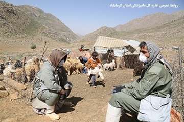 بازدید مدیر کل دامپزشکی و دیوان محاسبات استان کرمانشاه از عشایر منطقه