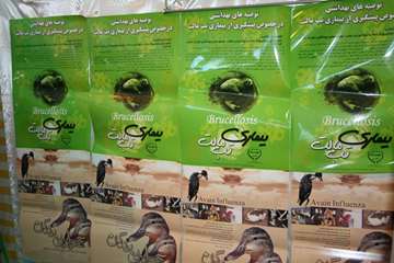 نمايشگاه هفته سلامت