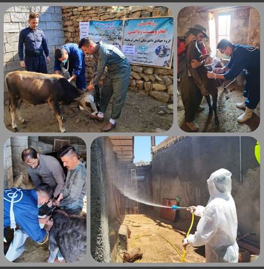 برگزاری اردوهای جهادی دامپزشکی