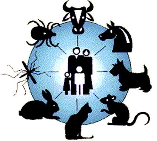 بیماریهای مشترک