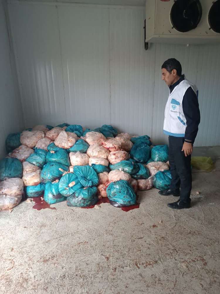 کشف و امحای بیش از ۳ تن آلایش دامی غیرمجاز در سردخانه‌ای در کرمانشاه 