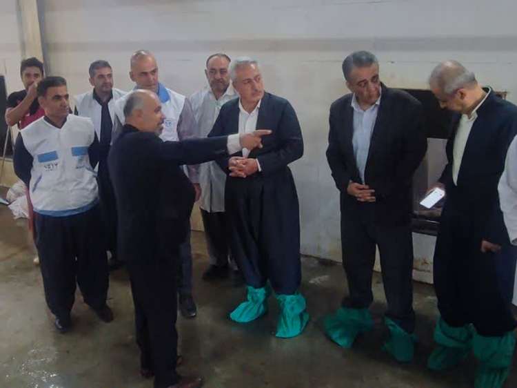 تأمین گوشت سالم و ارتقای نظارت‌های بهداشتی در اولویت دامپزشکی شهرستان‌های جوانرود و روانسر