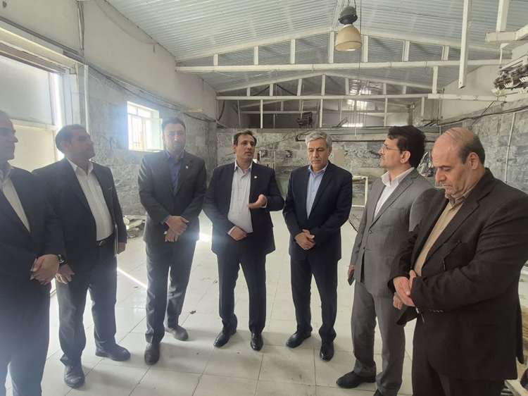 پیگیری احیای کشتارگاه راکد طیور کنگاور با تأکید بر الزامات دامپزشکی