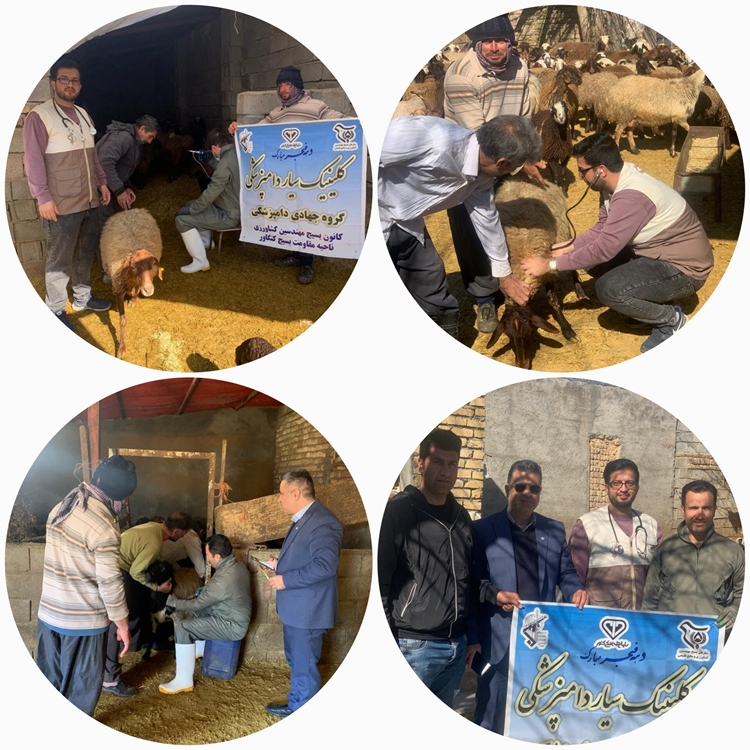 به مناسبت ایام الله دهه فجر جهادگران عرصه دامپزشکی در شهرستان کنگاور با حضور در روستای کارخانه به دامداران خدمات رایگان ارائه کردند. 