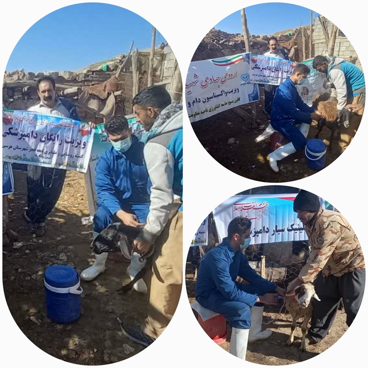 برگزاری اردوی جهادی دامپزشکی شهرستان هرسین به مناسبت دهه مبارک فجر