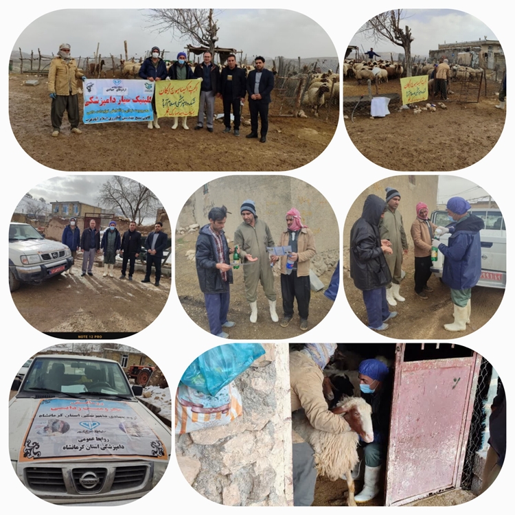  اردوی جهادی با حضور اداره دامپزشکی و شبکه بهداشت ودرمان شهرستان اسلام آباد غرب  در روستای سربکوه این شهرستان برگزار گردید.