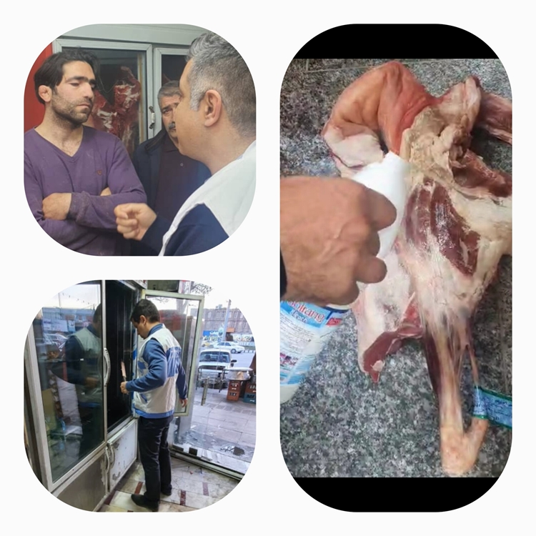  ضبط و معدوم سازی گوشت قرمز تاریخ گذشته در شهرستان کنگاور