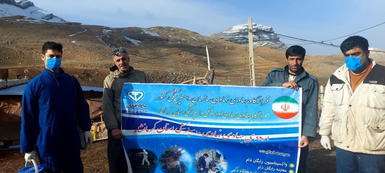 دهه فجر؛ با جهاد تبیین و خدمت‌رسانی به دامداران شهرستان هرسین